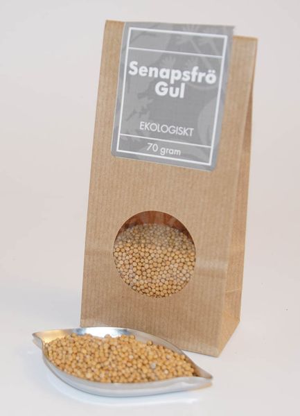 Senapsfr&ouml; hel gul EKO  Mustard seeds whole yellow BIO