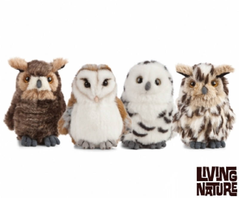 Owls 4 Assorted