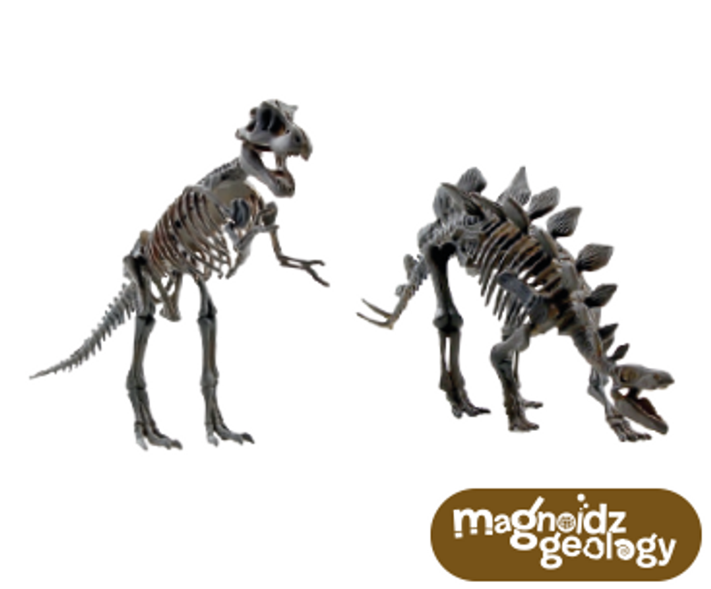 3D Dinosaur Skeletons