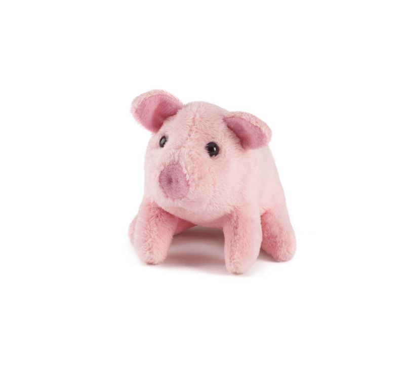 Pig Mini Buddies