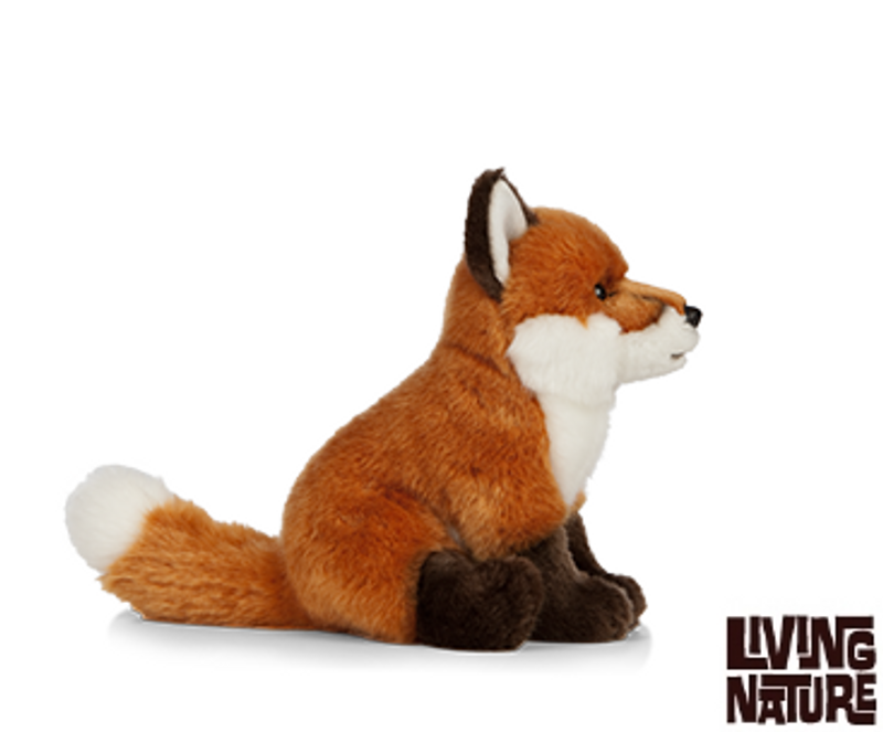 Fox Medium