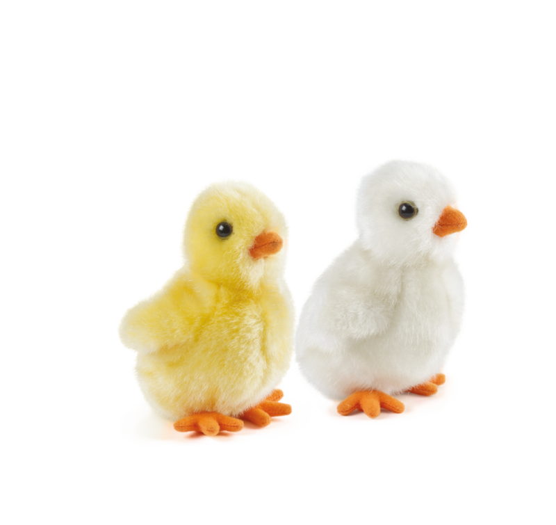 Fluffy Chicks