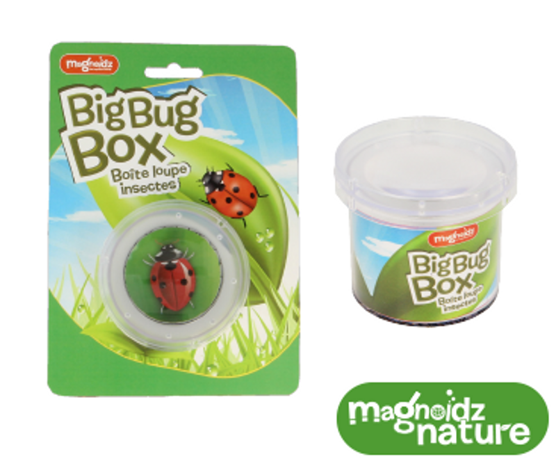 Big Bug Box