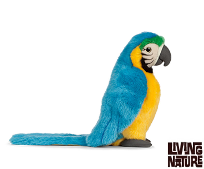 Macaw (Arapapegoja)