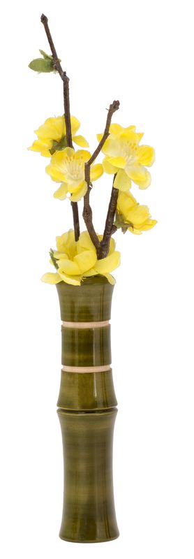 Liix Flower Vase Bamboo Blumenvase für Fahrradlenker grün