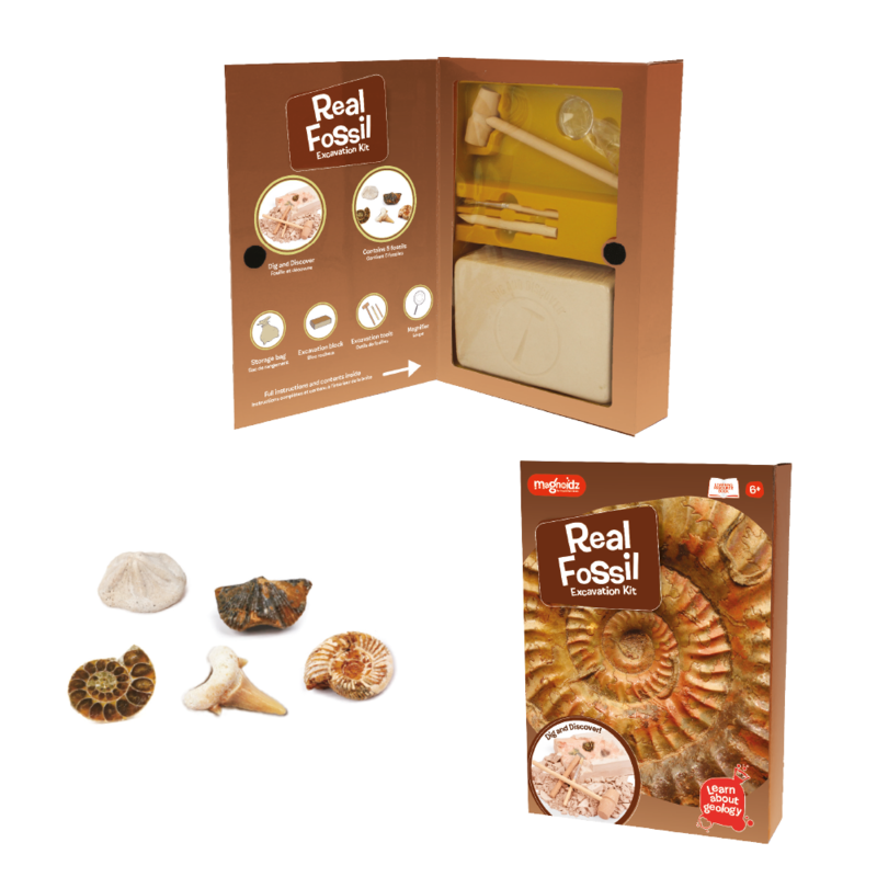 Fossil Dig Kit