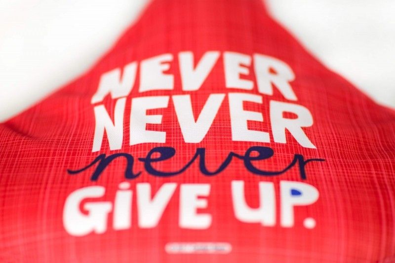 Liix Saddlecover Carolyn Gavin Never Give Up