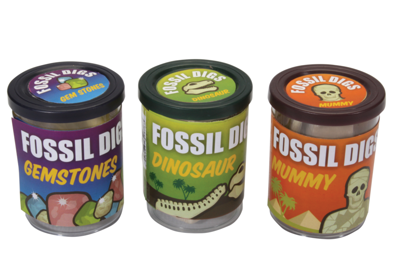 Assorted Fossil Dig in Tub