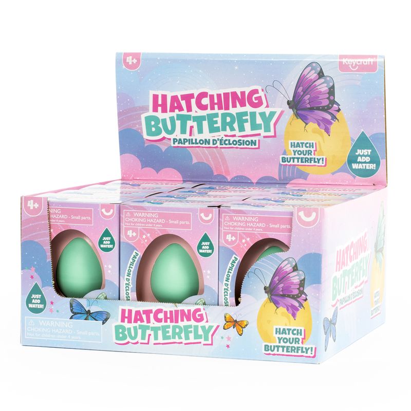 Hatching Butterfly Eggs