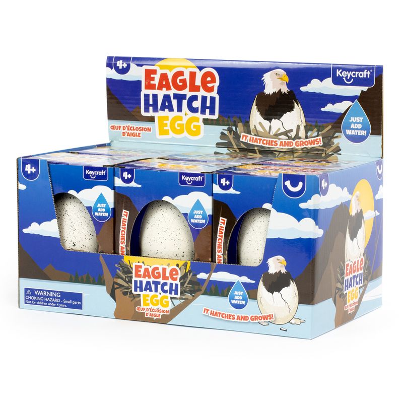Eagle Hatch Eggs