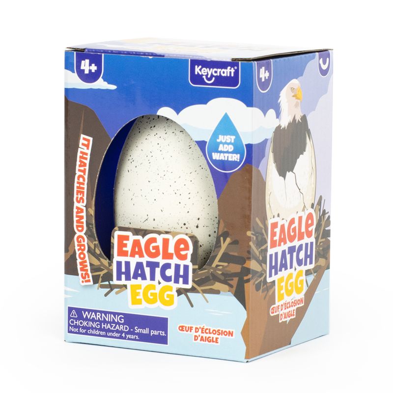 Eagle Hatch Eggs