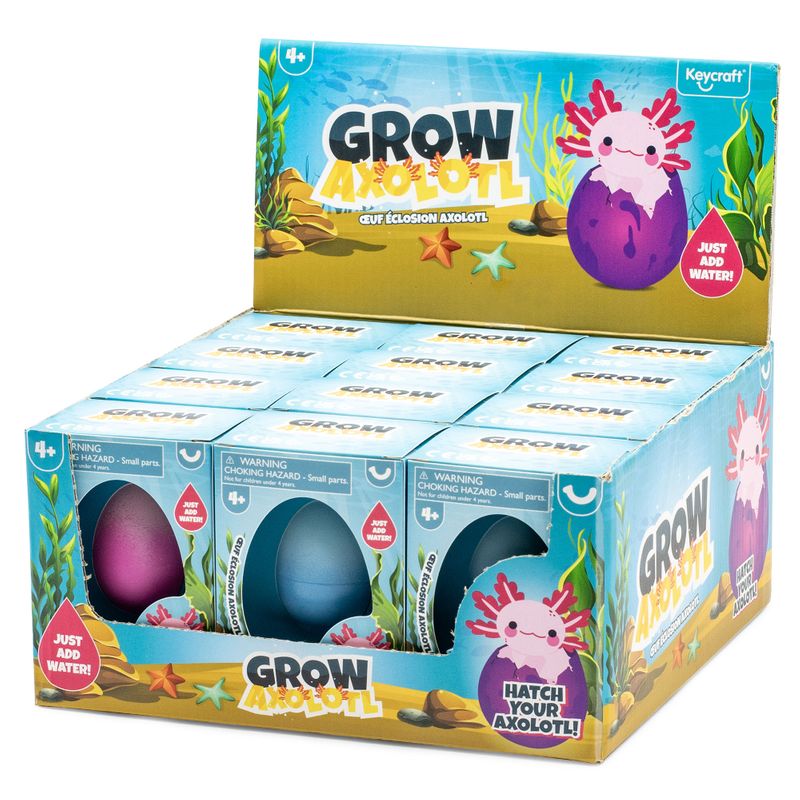 Grow Your Own Axolotl Toy