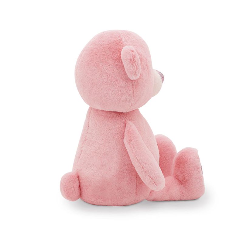 Fluffy the Pink Bear