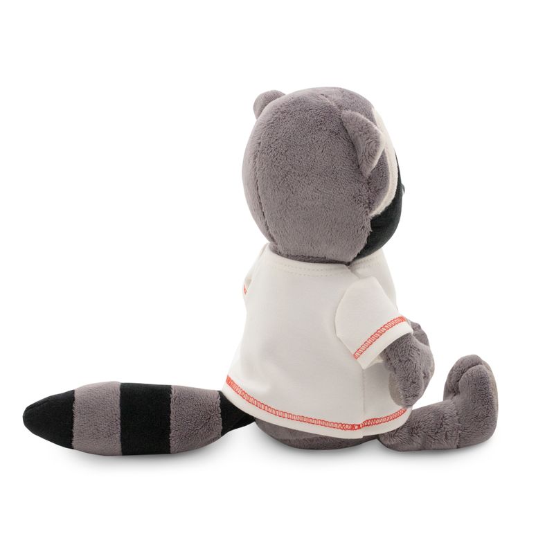 Denny the Raccoon: Sea Voyage 20 cm