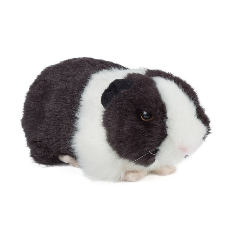 Black Guinea Pig with Sound