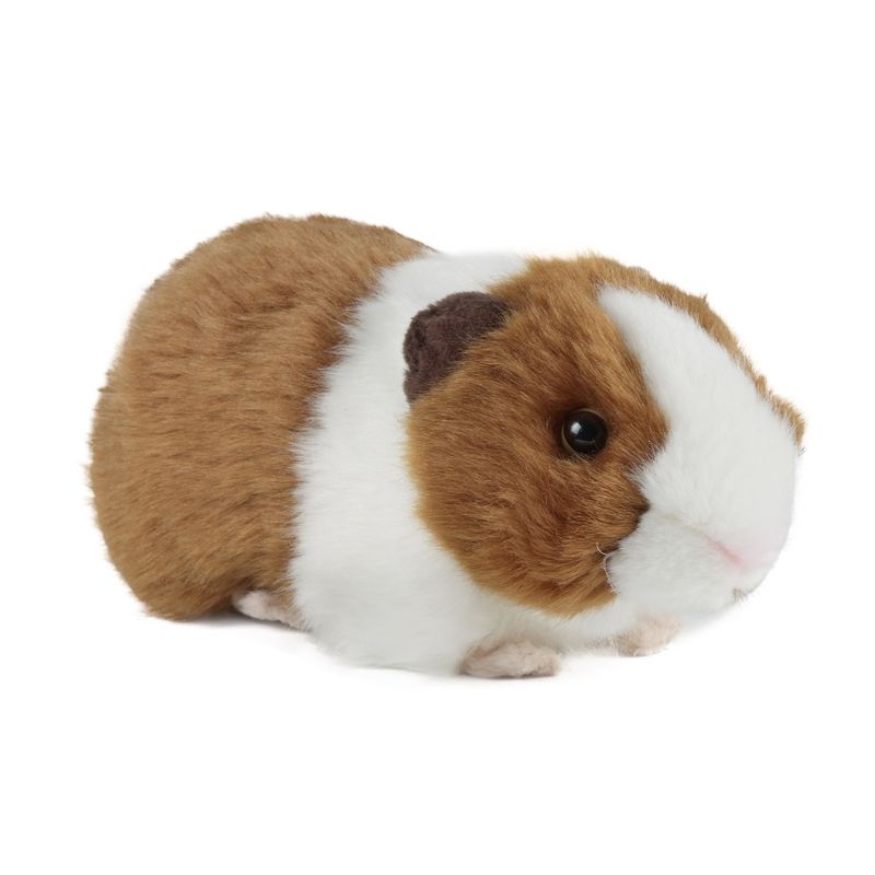 Brown Guinea Pig with Sound