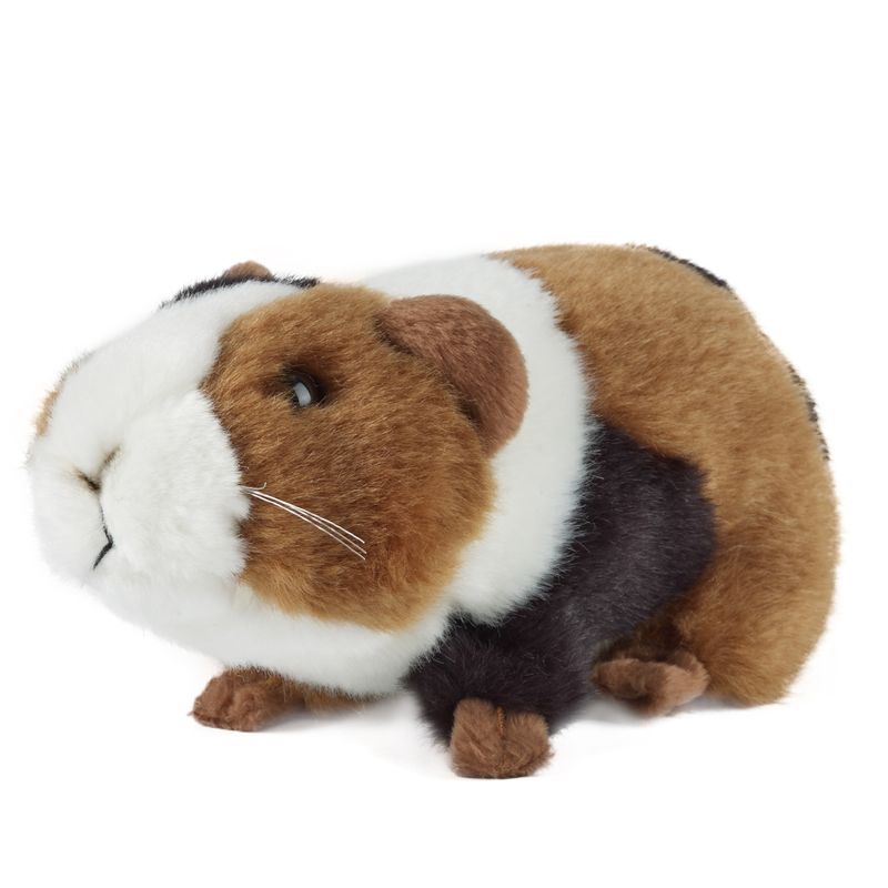 Guinea Pig Small