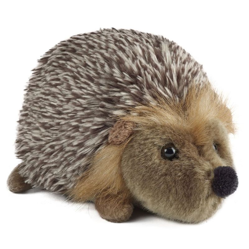 Hedgehog Medium