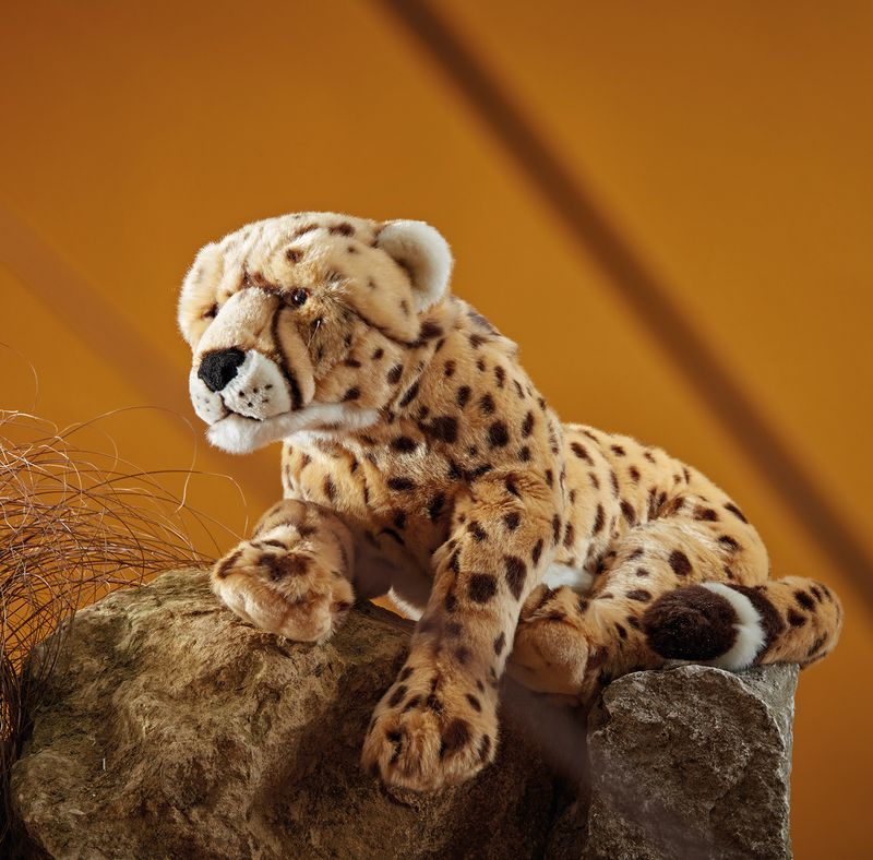 Cheetah Large