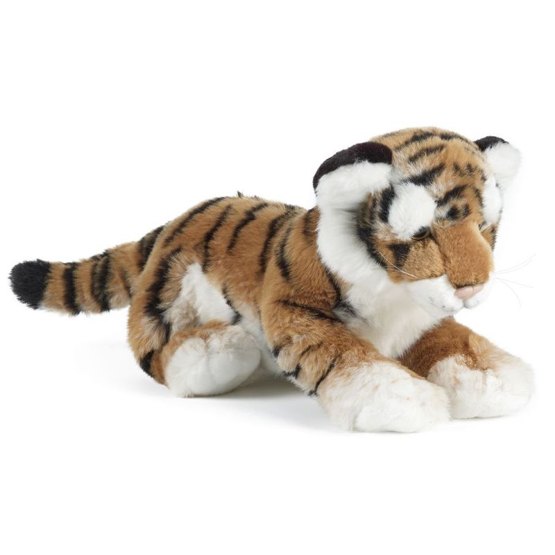 Tiger Cub