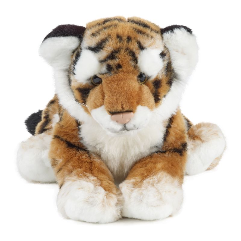 Tiger Cub