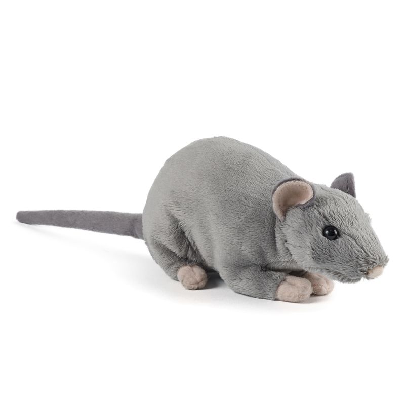 Rat with Squeak