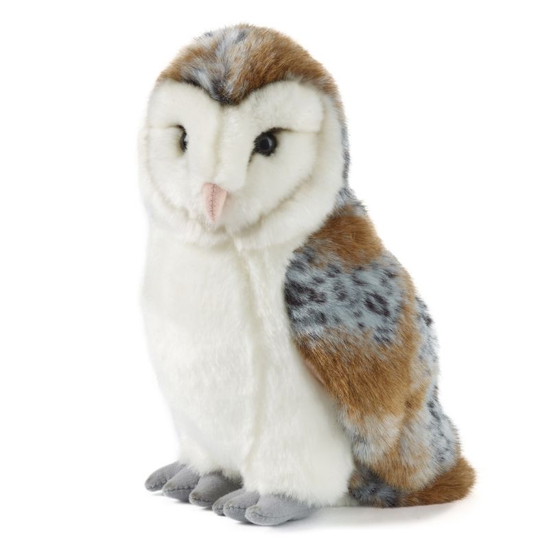 Barn Owl Large