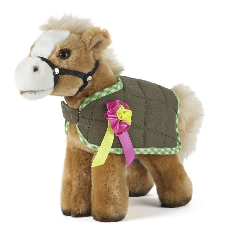 Horse with Jacket