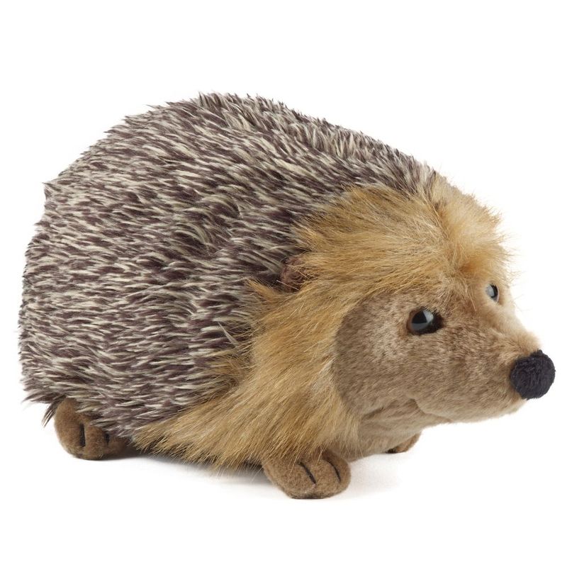 Hedgehog Large