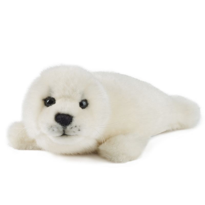 Grey Seal Pup