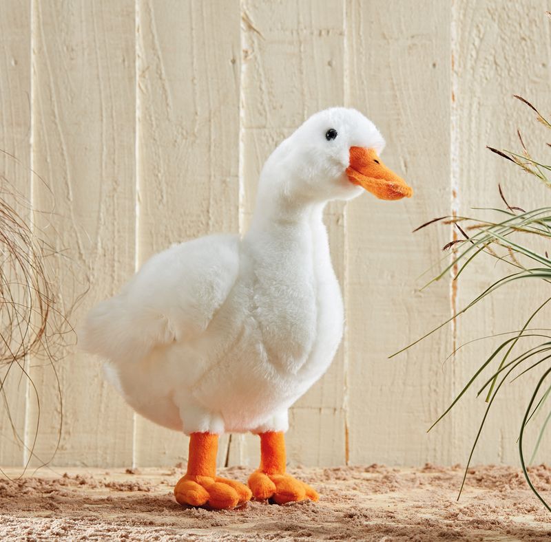 Duck Large