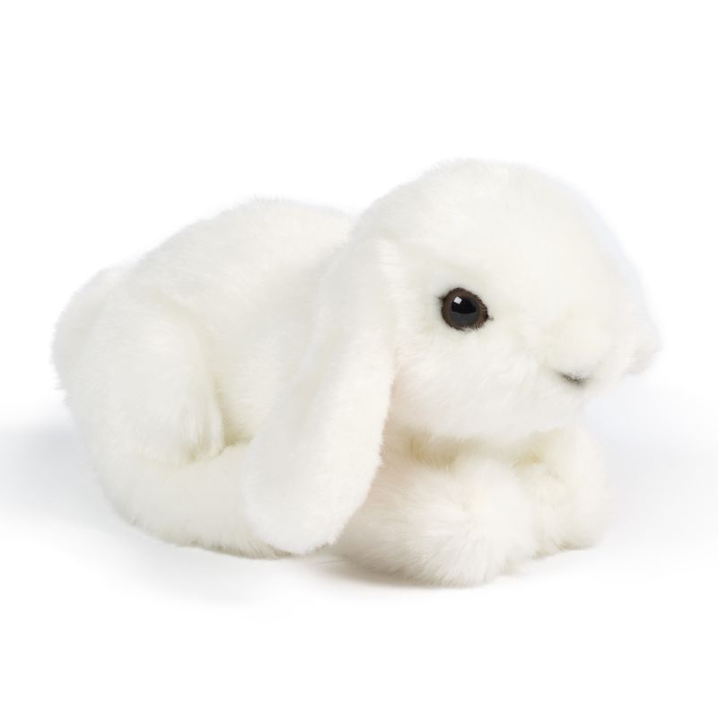 Lop Eared Bunny Small