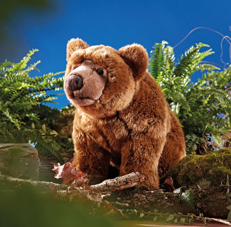 Brown Bear Large
