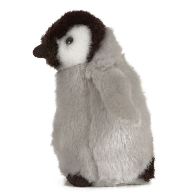 Penguin Chick