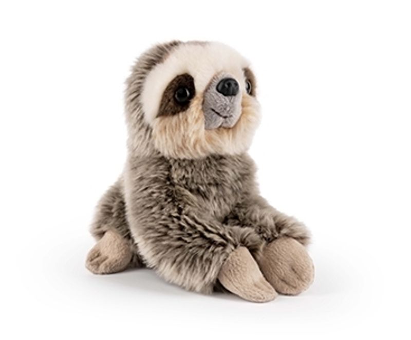 Small Sloth