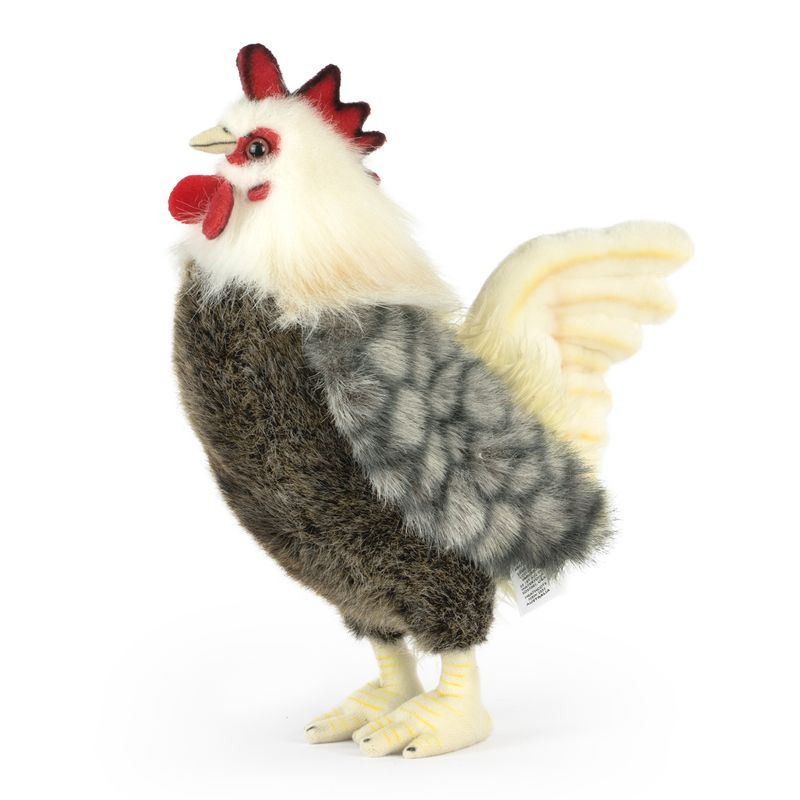 Bantam Cockerel