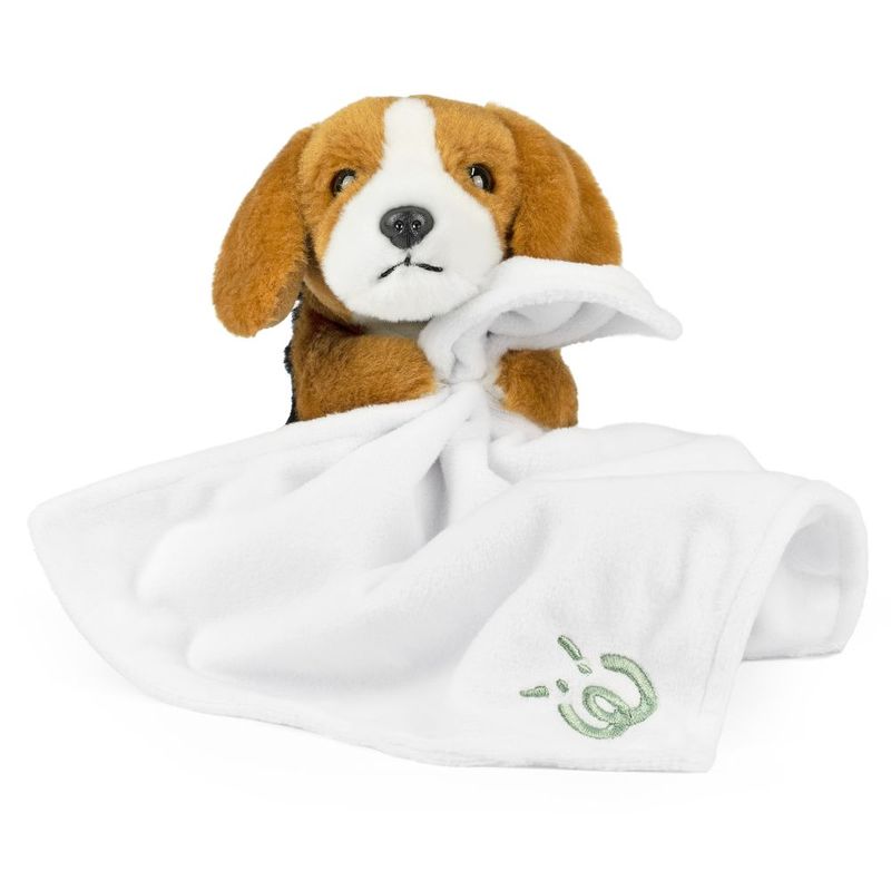 Beagle Baby With Blanket
