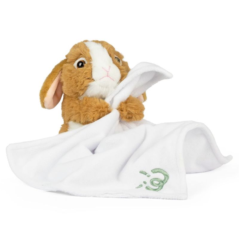 Brown Bunny Baby With Blanket