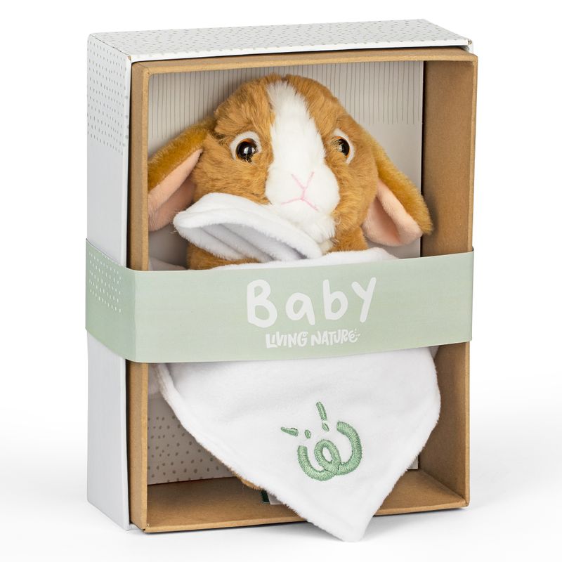 Brown Bunny Baby With Blanket