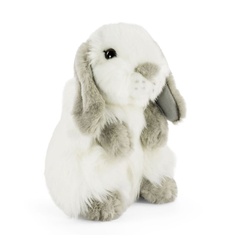 Lop Eared Rabbit Grey