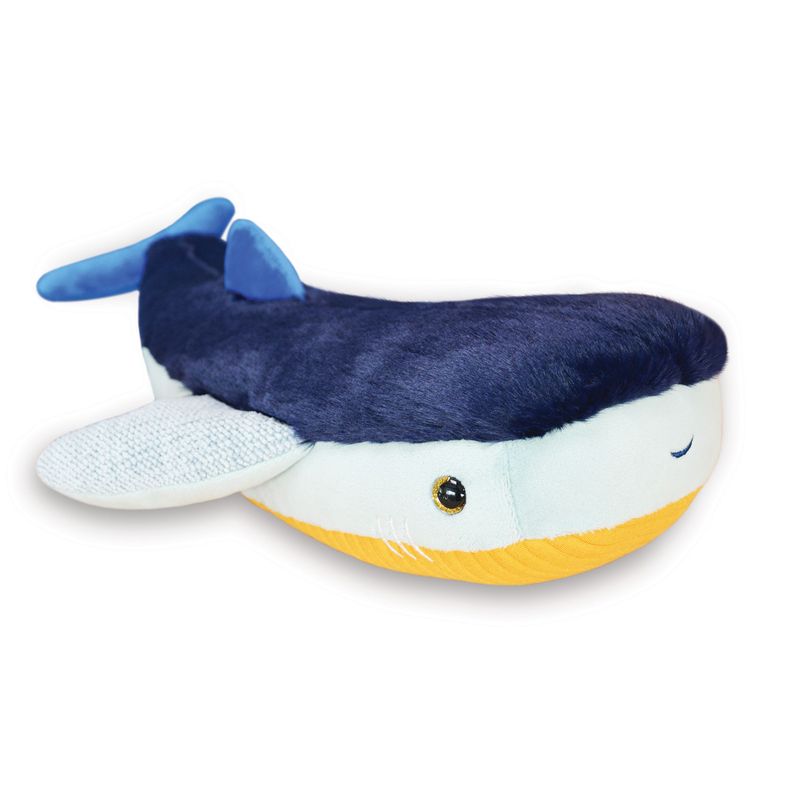 TRESORS MARINS - BLUE SHARK 