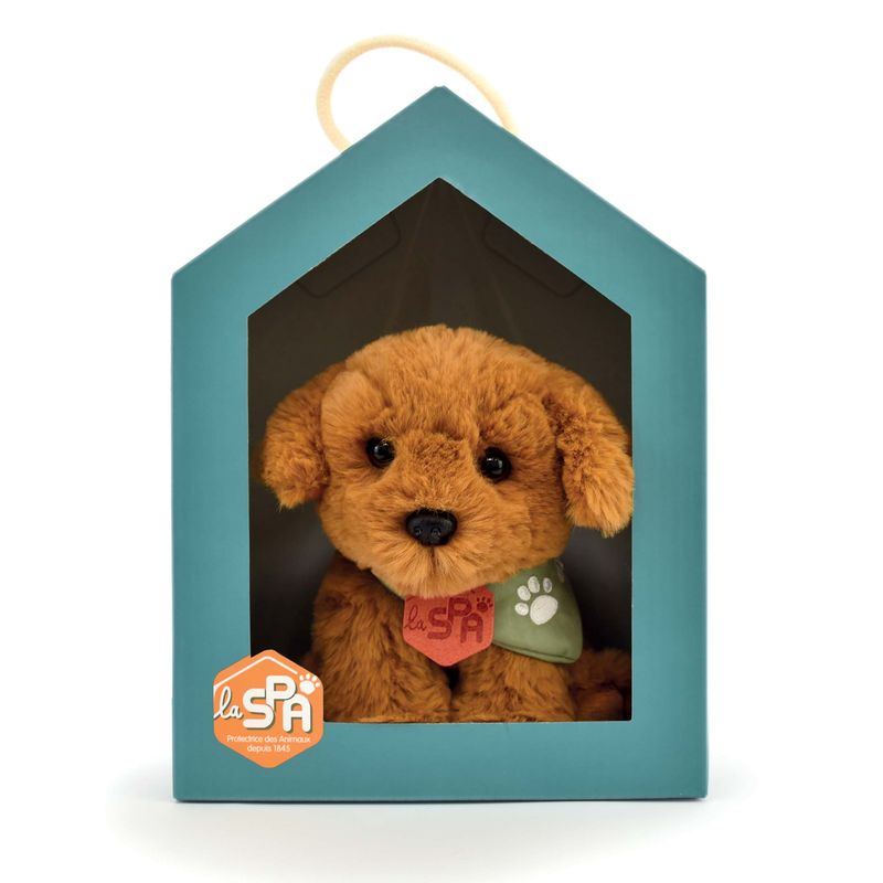 SPA - Chien marron MM