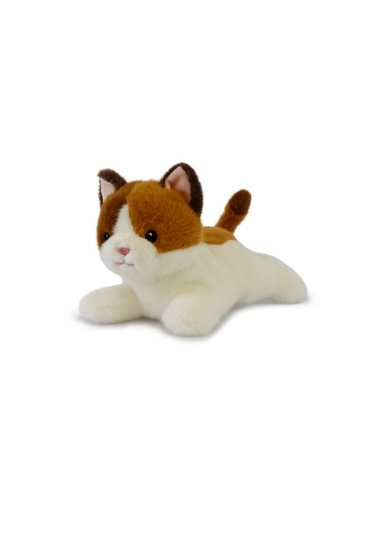 LES P'TITS RELAX - Cat  PM
