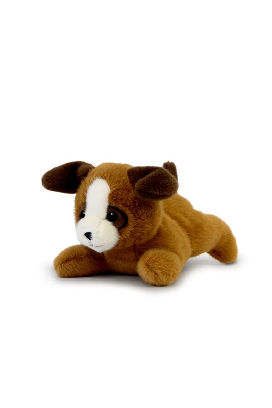 LES P'TITS RELAX - Brown dog PM