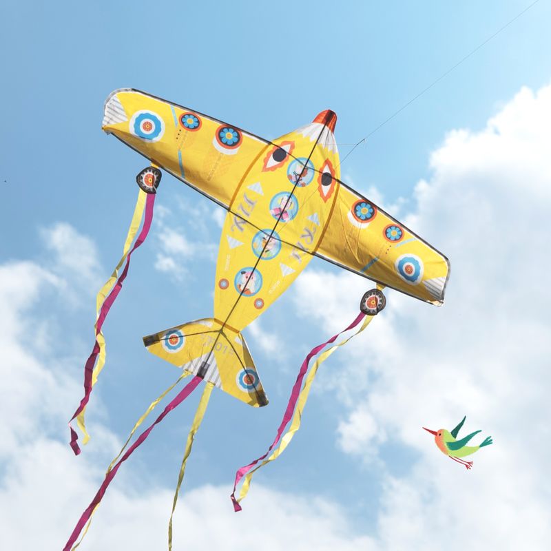 Kite: Maxi Plane