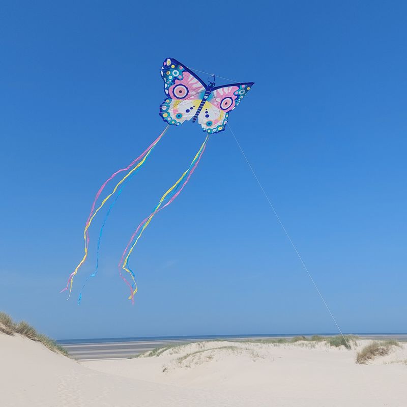 Kite: Maxi butterfly