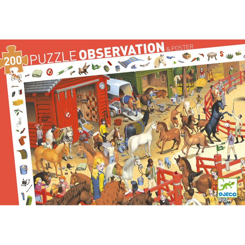 Observation puzzle, Horse riding
