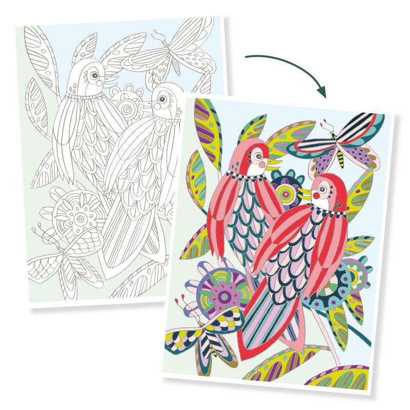 Colouring Gallery - Birds