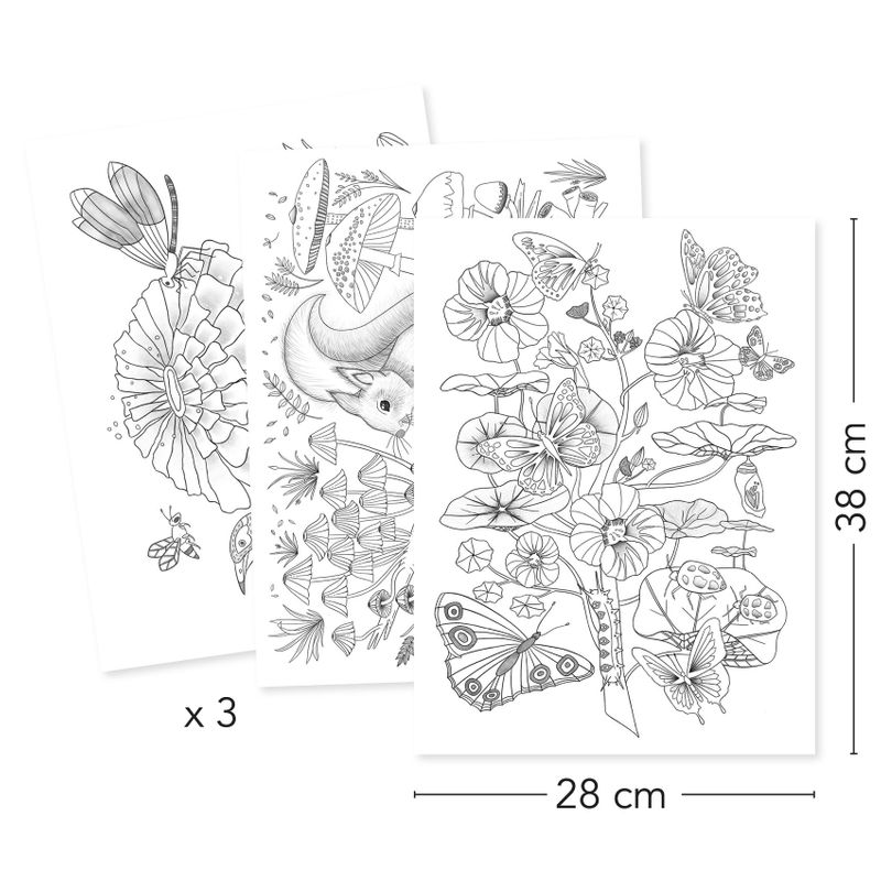 Colouring Gallery - Naturalist