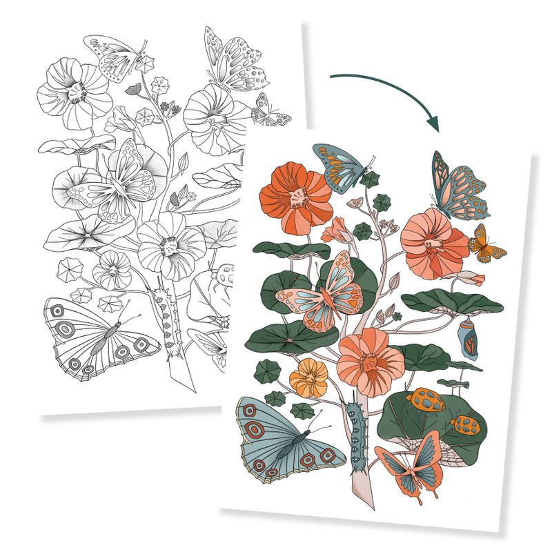 Colouring Gallery - Naturalist
